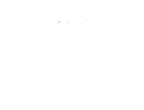 Kupidon Flowers