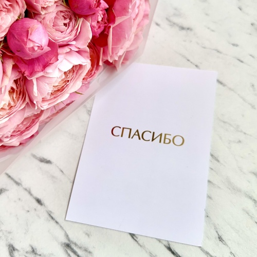 Спасибо