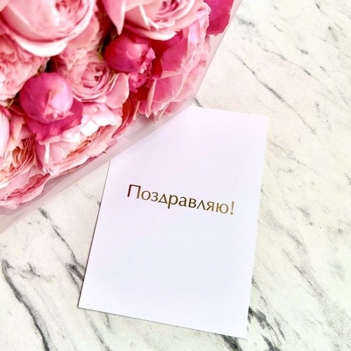 Поздравляю