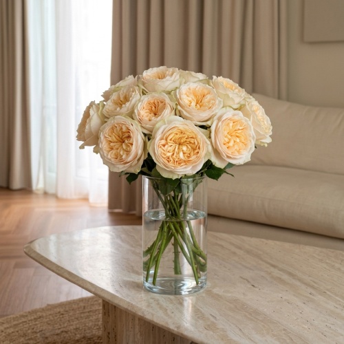 Роза пион Присцилла фото 2