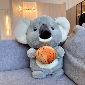 Коала баскетболист