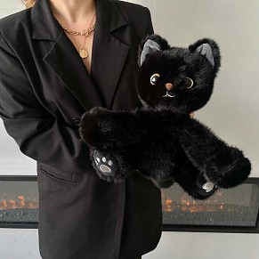 Кот обнимашка